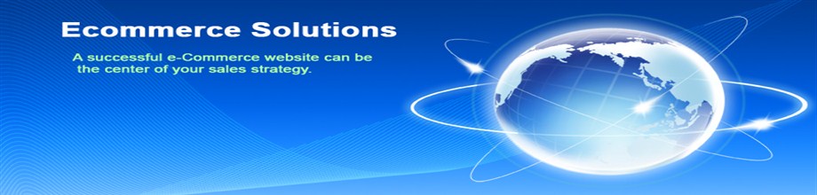 ecommerce website designing haryana